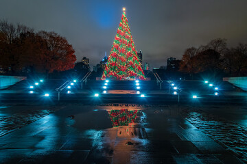Pittsburgh’s Christmas Tree at Point State Park - obrazy, fototapety, plakaty
