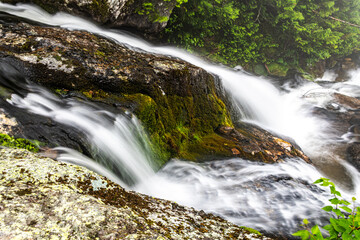 waterfall in the forest