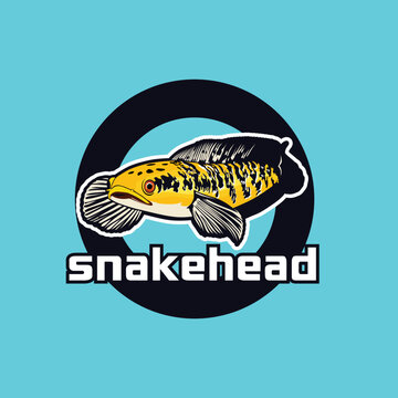 Snakehead fish premium vector image illustration