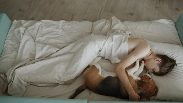 A teenager sleeps with his dog in bed. It's looking very cute, A dog is man's best friend. A beautiful purebred beagle sleeps with its master. Camera stays static.