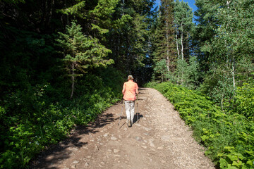 Obraz premium walking in the woods