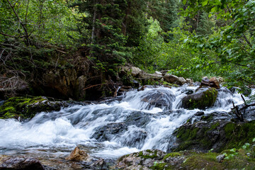 waterfall in the forest