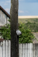 old cup hanging on a pole
