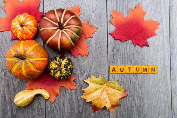 AUTUMN. cubes with letters on a gray table with pumpkins and autumn leaves