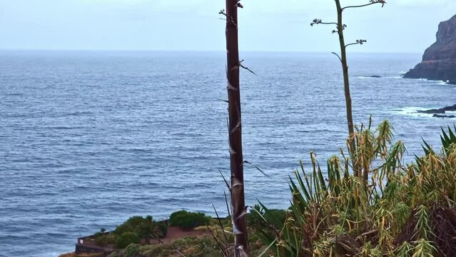Playa del Anc&oacute;n, Tenerife