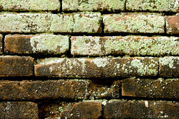 Old Vintage Red Brick Wall With Sprinkled White Plaster Texture Background