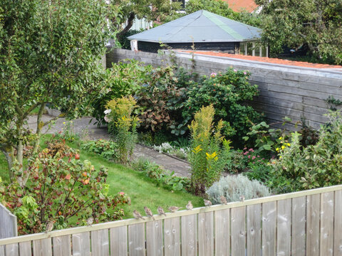 Tuin in Vlieland; Garden at Vlieland