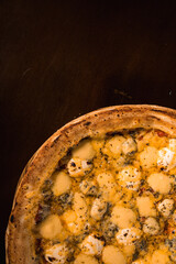 Perfect Pasta Classic Italian Homemade Artisan Bacon Tomato Sauce Sausage Sweet Melted Cheese Onion Chicken Meat Shrimp Menu Gourmet on a Dark Background