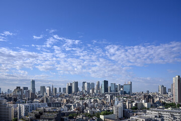 Fototapeta premium city skyline 2022/05/28 06:44 Tokyo Sinjyuku