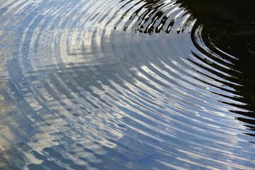 波紋