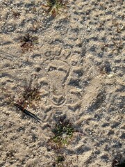 footprint on the sand
