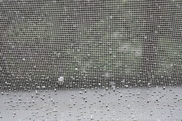 Water droplets on the screen door after the rain and the scenery through the screen door.