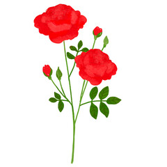 Obraz premium Hand drawn flowers blossom