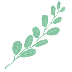 Hand drawn Green leaf and leaves illustrative