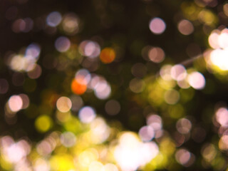 Fototapeta na wymiar bokeh blur background green forest light 