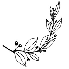 hand drawn outline flower and plants