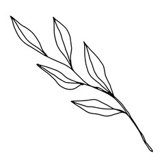 hand drawn outline flower and plants