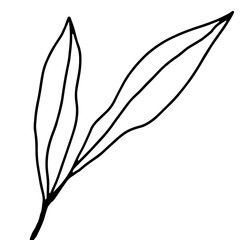 hand drawn outline flower and plants