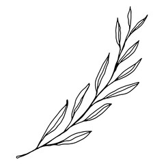 hand drawn outline flower and plants