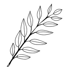 hand drawn outline flower and plants