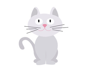 an animal, a pet, a cat who likes to play
