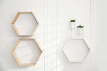 Honeycomb shaped shelves with plants on white wall