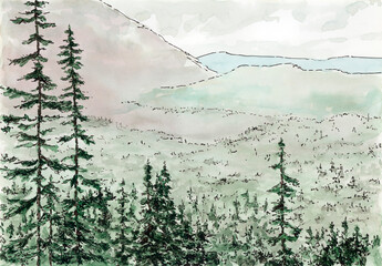 Forest in mountains. Ink and watercolor on paper.