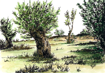 Landscape with willow tree. Ink and watercolor on paper.