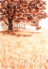 Landcape with tree and meadow. Sepia and watercolor on paper.