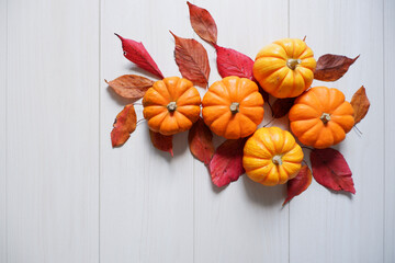 Colorful pumpkins and autumn leaves composition on white wooden background. Autumn and Harvest concept decoration background. 