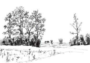 Landscape with trees and meadows. Ink on paper.