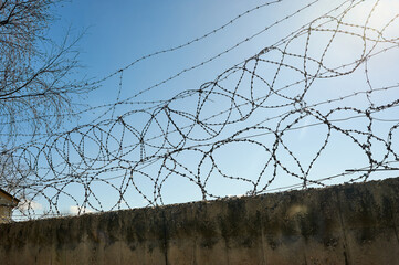 Barbed wire on a blue sky background.