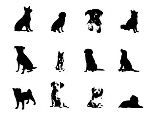 Dog Pictures. Dog. Free running dog image. Dogs Vector Boxer. Dog photos