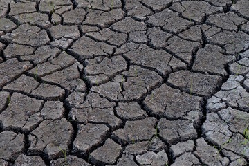 dry cracked earth