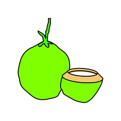 Coconut vector, coconut water vector illustration.