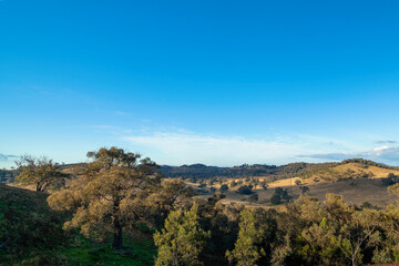 Aerial view of mountain landscape surrounded by growing trees under blue bright sky, Mudgee Australia