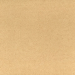 Fototapeta premium brown corrugated cardboard texture background