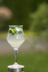 Fresh Mojito cocktail in elegant tall glass with green mint leaves, lime slices, white rum and soda water.