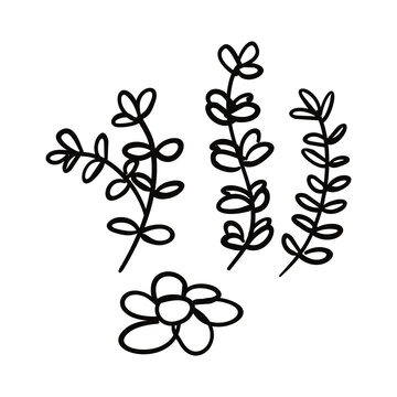 set of floral elements, Hand drawn illustration of tree branches and flowers