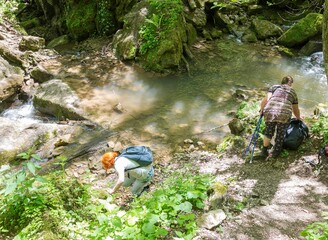 Mountain river, sources in the canyon of the stone bed, panorama of the area, summer season, in nature