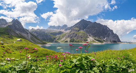 Mountain panorama of the Lünersee in the Brandnertal valley with colorful mountain flowers in the foreground - obrazy, fototapety, plakaty