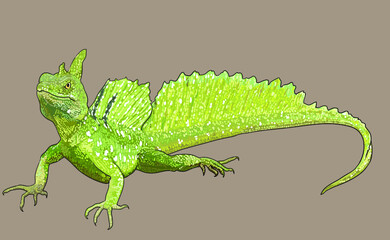 Drawing, Basilisk lizard, exotic, art.illustration, vector