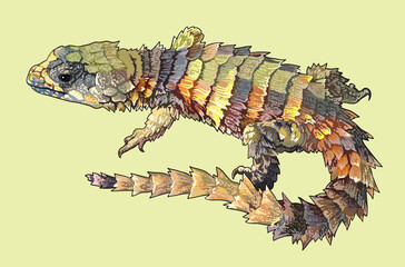 Drawing, Armadillo lizard, beautiful, art.illustration, vector