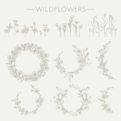 Set of hand-drawn wildflowers. © mrs.kato