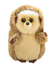 Funny hedgehog toy isolated plush on the white background