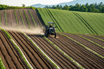 畝を耕すトラクター