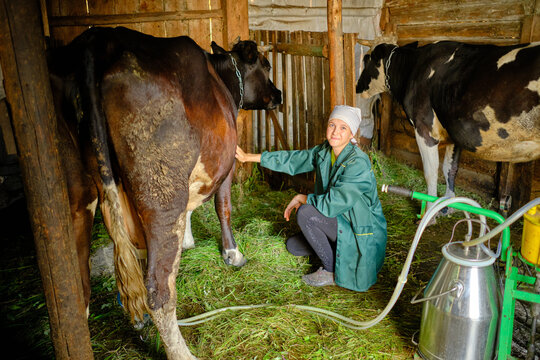 A milkmaid woman and her cow on the farm. The woman smiles and looks into the frame, gently petting the cow.