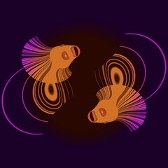 twin goldfish swimming pattern and design