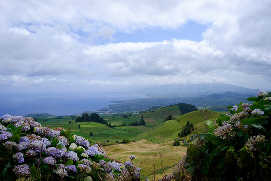 View On San Miguel Island