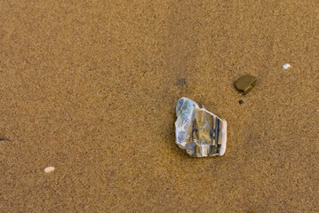 A gray stone lies on the brown wet sand on the  waterfront